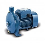 ����� ������������� Pedrollo CPm 170